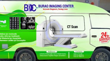 0a52f39a-a04c-4df3-907e-31085069727a